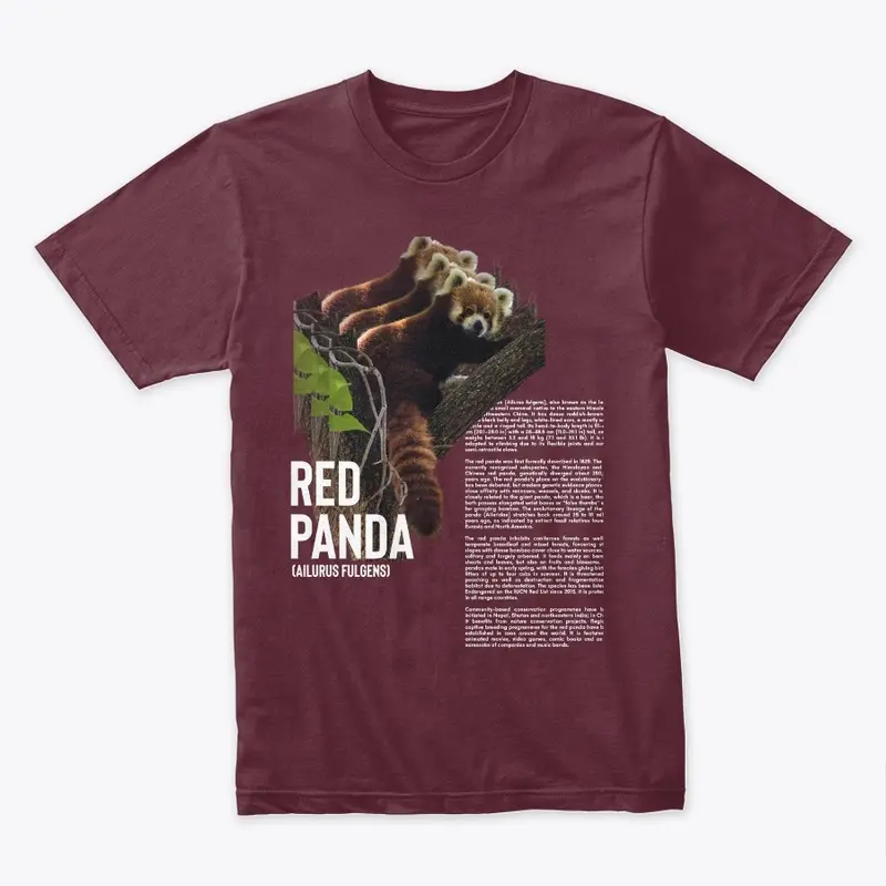 Eckertree Science Series 1 - Red Panda